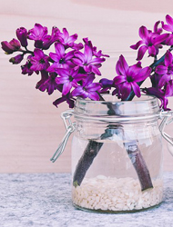 一键导出报告的在线DDOS平台攻击