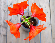 在线DDOS压力测试网页端